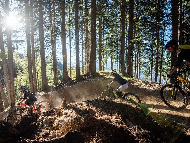 Bike Action durch den Wald